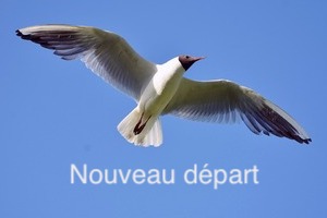 Cliquez pour en savoir plus...